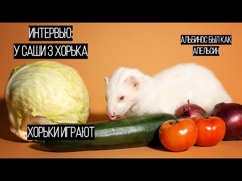 Видео: Новое ИНТЕРВЬЮ / АЛЬБИНОС был как апельсин / хорьки играют