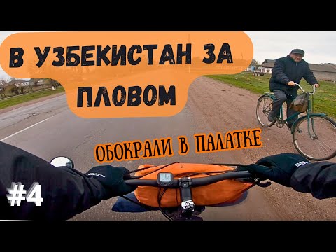 Видео: 4. Преодолеваю 1000 км из Казахстана в Узбекистан на велосипеде/Ночую в +2 в палатке