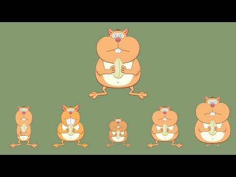 Видео: Как работает эволюция