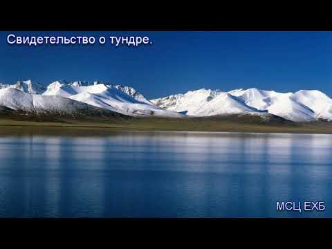Видео: "Свидетельство о тундре". Брат Илья. МСЦ ЕХБ.