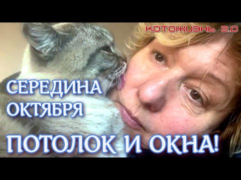 Видео: Середина октября 2025. Потолок и окна!