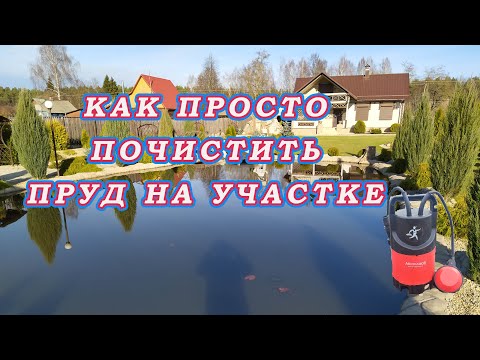 Видео: ЧИСТЫЙ ПРУД без Цветения воды. Простой Способ! Как почистить пруд на участке!