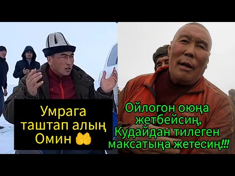 Видео: Байыштын Улагы / Баш байгени Мырзабек балбан алып кетти. Умрага жолдомо.