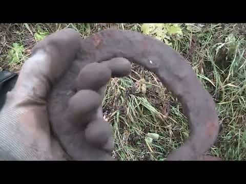 Видео: Рыбы нет зато Металл есть