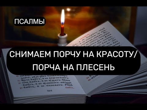 Видео: СНИМАЕМ ПОРЧУ НА КРАСОТУ/ПОРЧА НА ПЛЕСЕНЬ