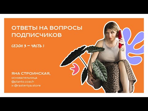 Видео: Ответы на вопросы подписчиков, сезон 3, часть 1
