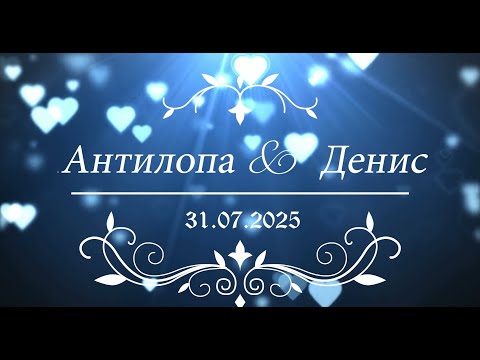 Видео: Цыганская свадьба 31 июля 2025 год Денис и Антилопа г. Санкт-Петербург