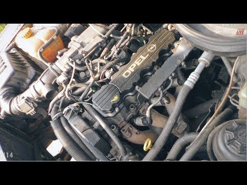 Видео: OMEGA B X20SE, Бизнес-класс за 28 тысяч рублей [OMEGA LIVE #14]