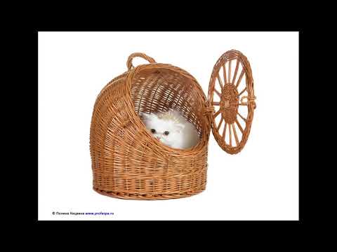 Видео: Испанский язык. Урок "ГДЕ?" (наречия места). Часть 1