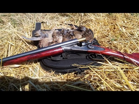 Видео: Открытие ОХОТЫ на ПЕРЕПЕЛА с ЛЕГАВОЙ СОБАКОЙ на Ставрополье 2021