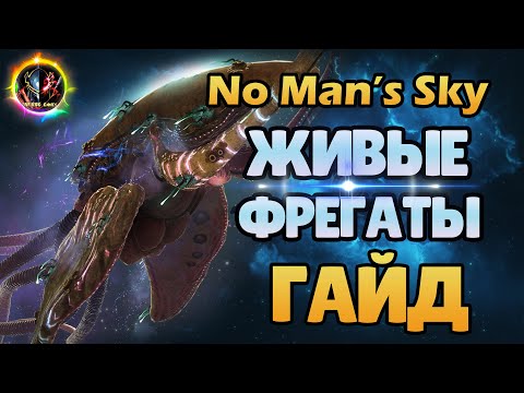 Видео: 🌌КАК И ГДЕ НАЙТИ ЖИВЫЕ ФРЕГАТЫ👾 ГАЙД ❗➣  No Man’s Sky Endurance