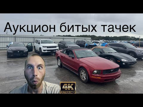 Видео: Большой выбор. Брать или не брать? Буду брать
