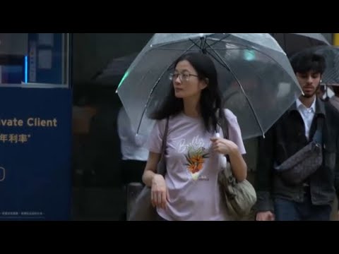 Видео: Чикунгунья: первый случай местного заражения зафиксировали в Гонконге