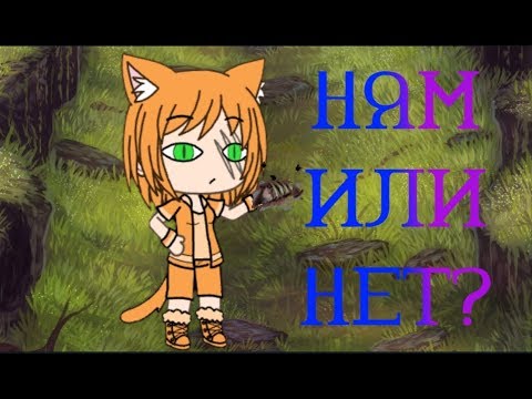 Видео: Типичный день новичка✮Прикол✮Gacha Life + CatWar