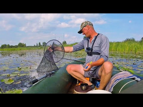 Видео: РЫБАЛКА на ПОПЛАВОК!!! Раскормил место и МОНСТРЫ ПРИШЛИ!.