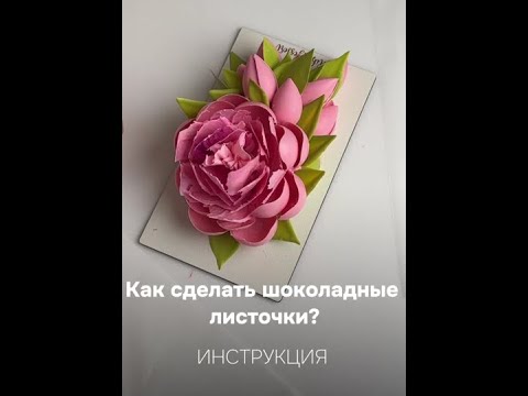 Видео: ШОКОЛАДНЫЕ ЛИСТОЧКИ от Надежды Голубцовой 🍃CHOCOLATE  LEAVES