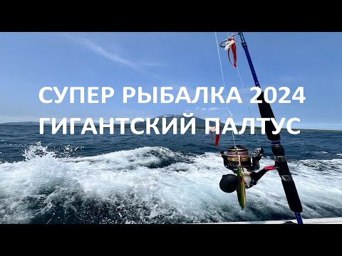 Видео: СУПЕР РЫБАЛКА 2024  ГИГАНТСКИЙ ПАЛТУС