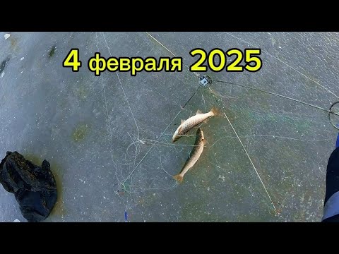 Видео: От таких рыб поломалась хапуга. Чуть не утопил бур #fishing #рыбалка #낚시 #обзор #carpfishing