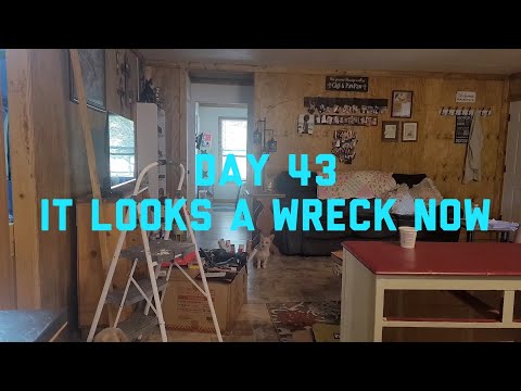 Видео: День 43: теперь всё выглядит как руины