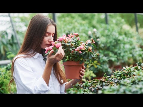 Видео: Институт садоводства и ландшафтной архитектуры