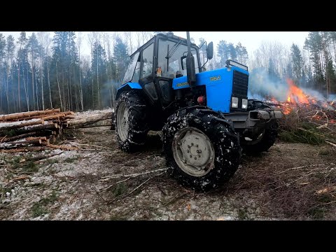 Видео: Заготовка леса на МТЗ 82.