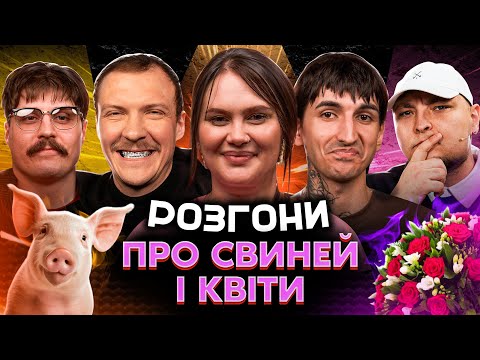 Видео: РОЗГОНИ ПРО СВИНЕЙ ТА КВІТИ | Волкова, Сафаров, Свиридюк, Пінчук, Бережко