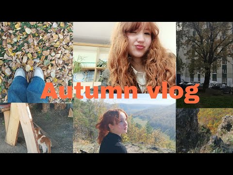 Видео: Autumn vlog: первая неделя учёбы и Гумеровское ущелье