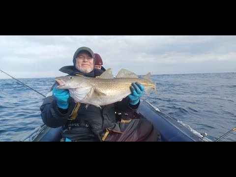 Видео: За треской в Териберку в июне в 4К (2024)