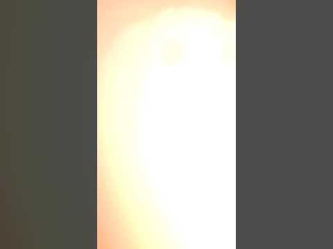 Видео: Мои мягкие игрушки