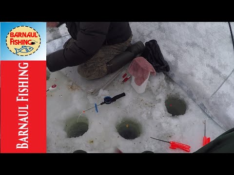 Видео: БЕШЕНЫЙ КЛЕВ НА КОРОМЫСЛО.РЫБАЛКА 2020.ЛОВЛЯ ПОДЛЕЩИКА