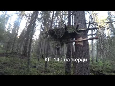 Видео: ОХОТА НА КУНИЦУ И НОРКУ КАПКАНАМИ / УСТАНОВКА КП-140 НА ЖЕРДИ / РЯБЧИК