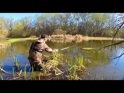 Видео: КОСЯКИ РИБИ. Води по КІСТОЧКИ. Рибалка на поплавок на карася.