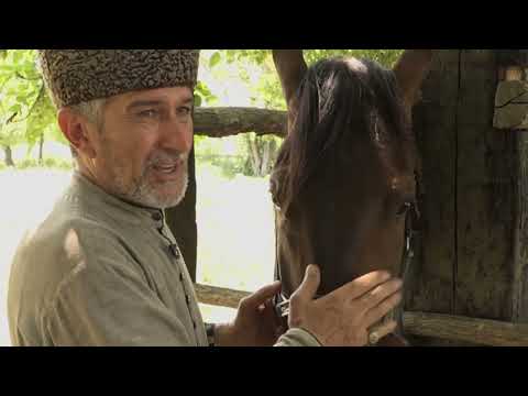 Видео: Шыу Гъогу. Егерухай