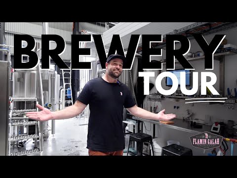 Видео: Экскурсия по пивоварням Flamin Galah Brewing Co. — Лучшие независимые пивовары Австралии