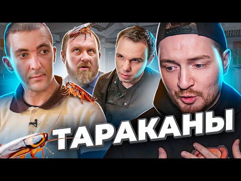 Видео: НА НОЖАХ - Тараканы в еде