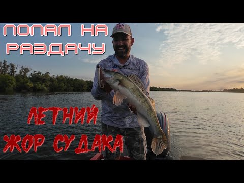Видео: Дон, отличная рыбалка, нашел стаи судака.