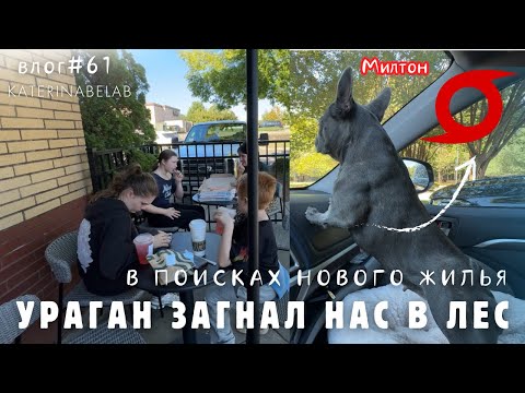 Видео: УРАГАН ЗАСТАВИЛ КУПИТЬ НОВУЮ МАШИНУ осматриваем окрестности нашего убежища в лесу