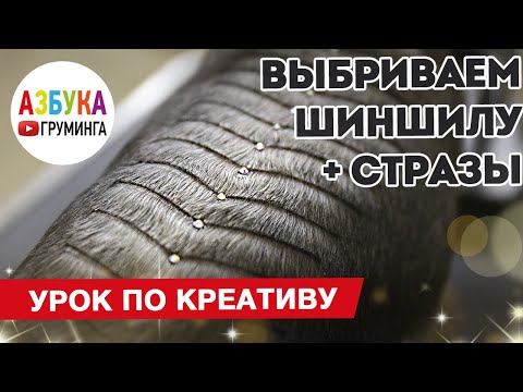 Видео: Креативный груминг в стрижке йорка - выбривание узора "шиншила"