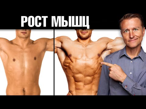 Видео: 4 неожиданных способа быстро нарастить мышцы 💪