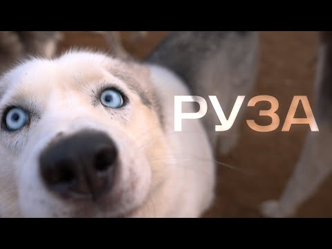 Видео: Семейные выходные в Рузе