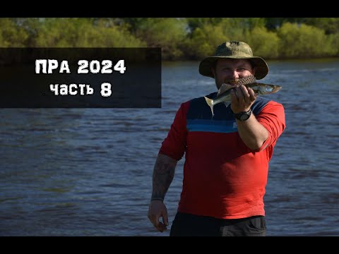 Видео: Пра 2024. Ветер и рыбалка на Оке на острове. Часть 8.