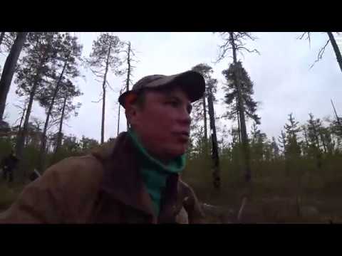 Видео: Простое охотничье счастье