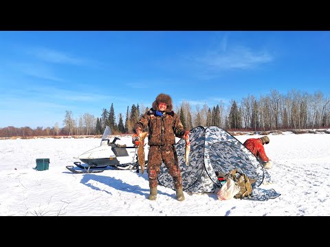 Видео: ВЕСНА.СТАВИМ ЖЕРЛИЦЫ НА ЩУКУ.ДОМАШНЕЕ КОПЧЕНИЕ ОКУНЯ.