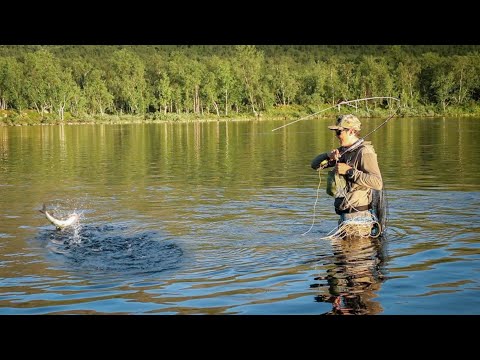 Видео: Рай медленно летающих сухих мушек, о существовании которого мало кто знал