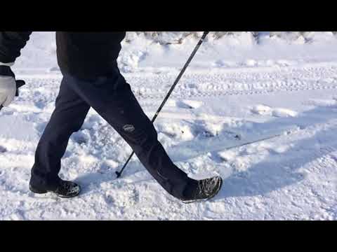 Видео: Что первое? Нога или палка?