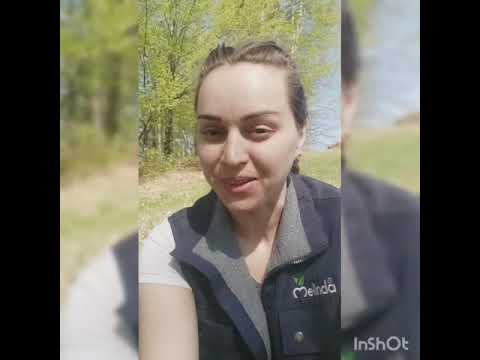 Видео: Цікава прогулянка до лісу🌲🌳🐜