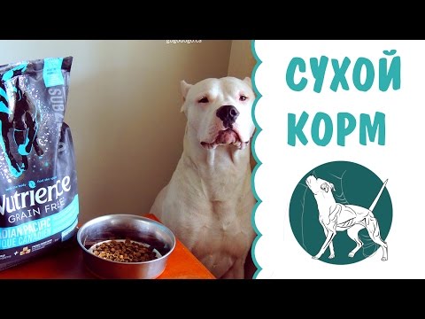 Видео: Выбор сухого корма для собак | кормление собак | сухой корм для собак