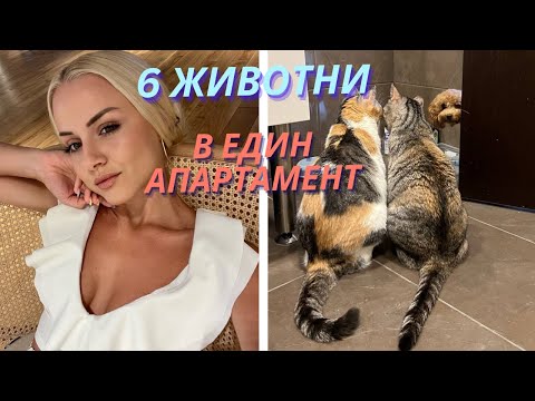 Видео: ЖИВЕЯ В ЗООПАРК 🤪