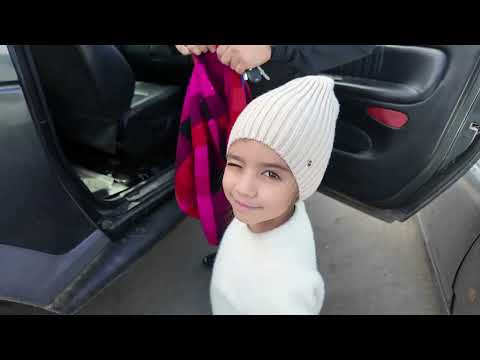 Видео: КУПИЛИ ДОМ НА ХУТОРЕ | СПИЛИЛИ ПАЛЬМУ | ПОСАДИЛИ ФИНИК