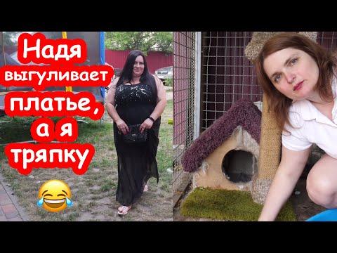 Видео: VLOG Познакомились с соседями при необычных обстоятельствах